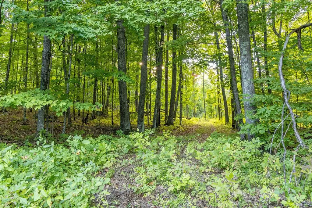 38.2 Acres Vierck Lane, Exeland, WI 54835 - #1