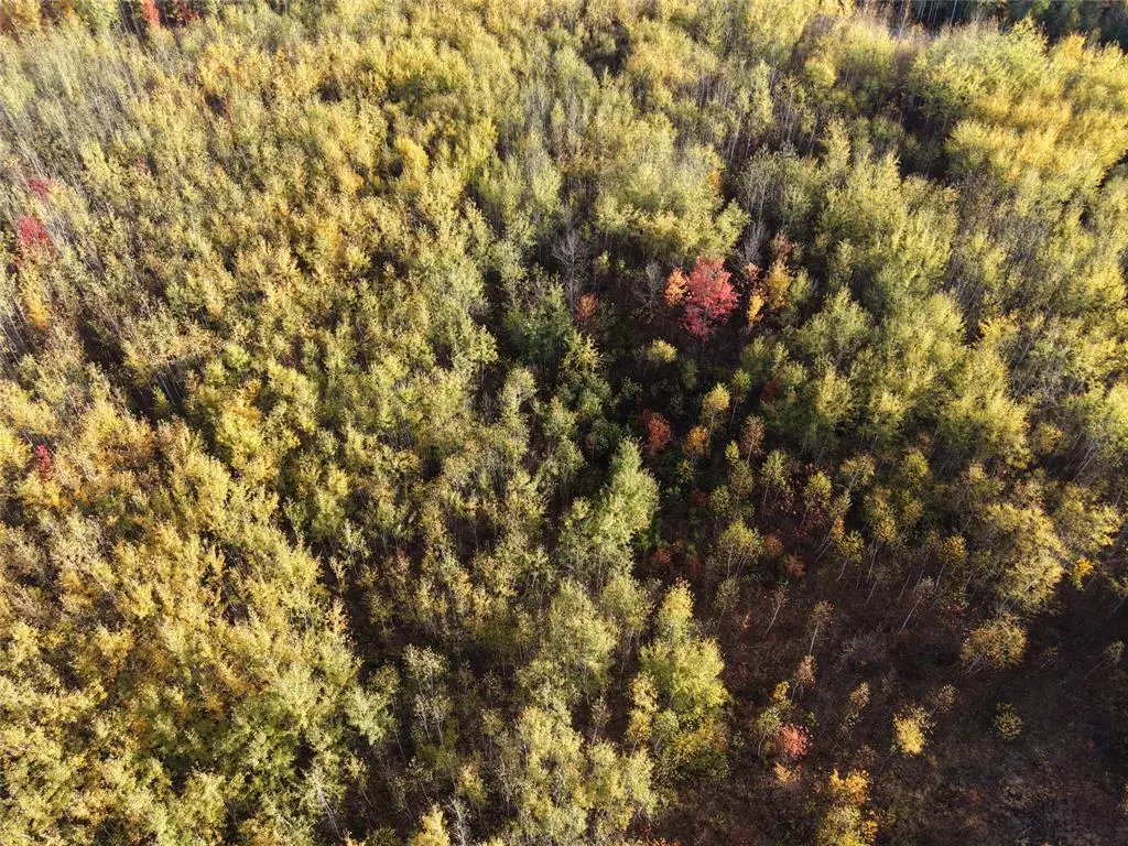 On County Highway W, Winter, WI 54896 - #1