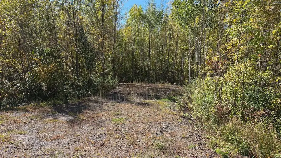 On County Highway W, Winter, WI 54896 - #3