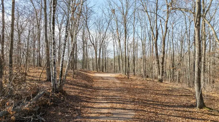 Lot 1 on 290th Avenue, Holcombe, WI 54745 - #3