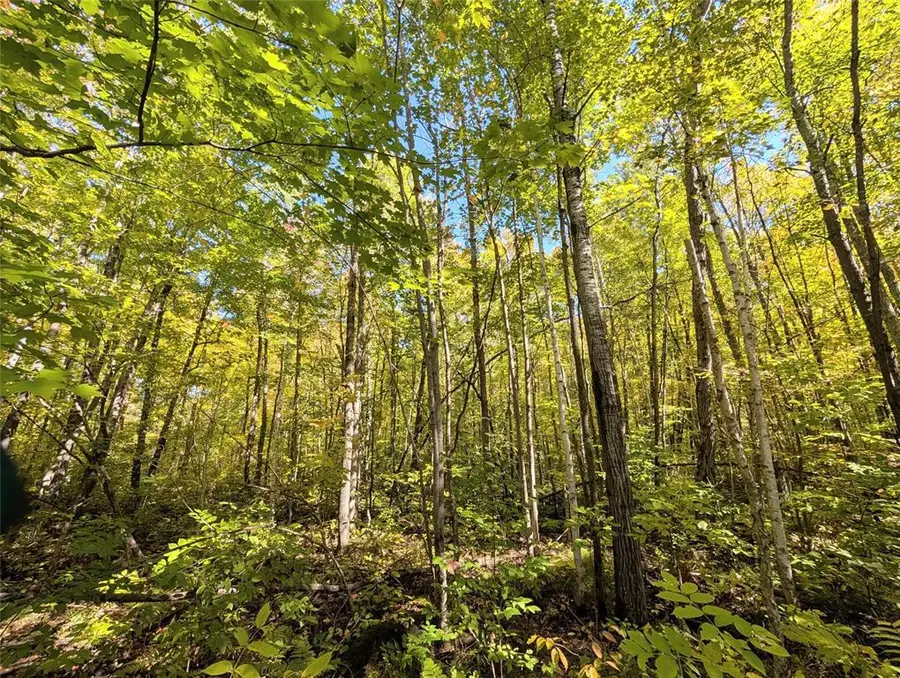 TBD County Road B, Hunter, WI 54843 - #2