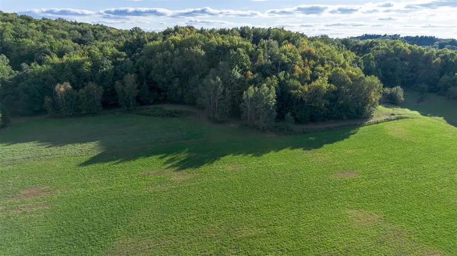 XXX 420th Avenue, Menomonie, WI 54751 - #3
