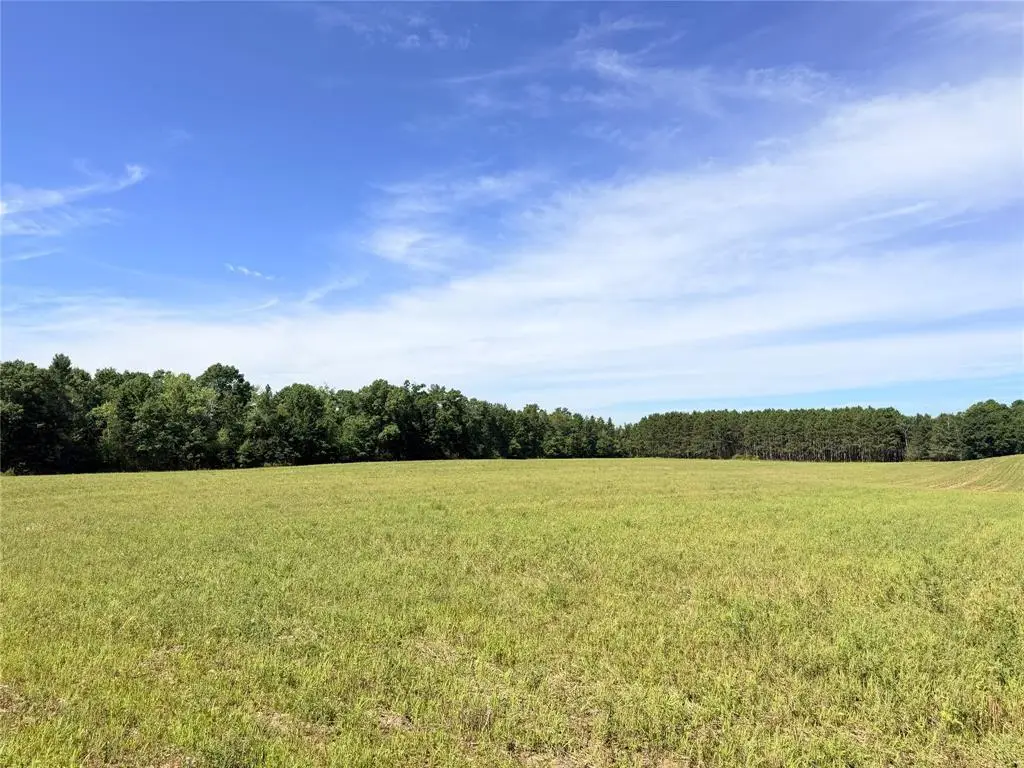 Lot 7 Peterson Road, Bruce, WI 54819 - #1