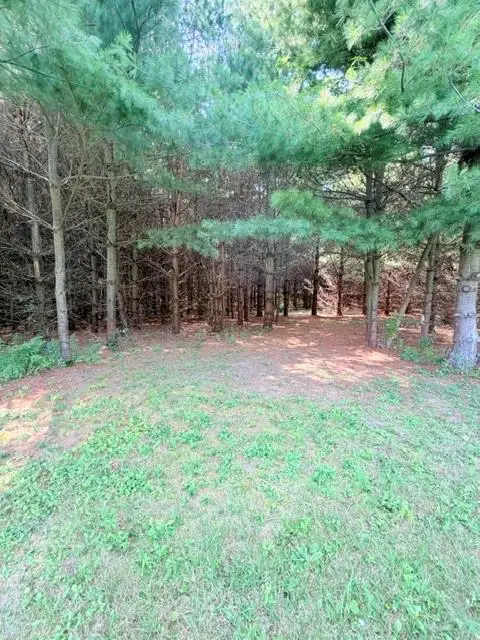 Lot 1 of CSM 4016 US Highway 12, Fall Creek, WI 54742 - #2