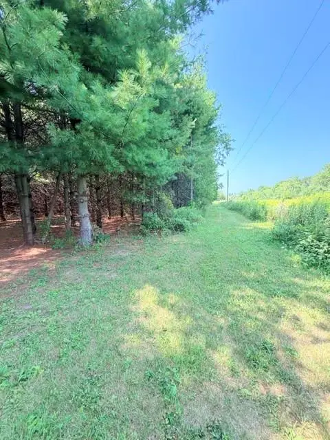 Lot 1 of CSM 4016 US Highway 12, Fall Creek, WI 54742 - #3
