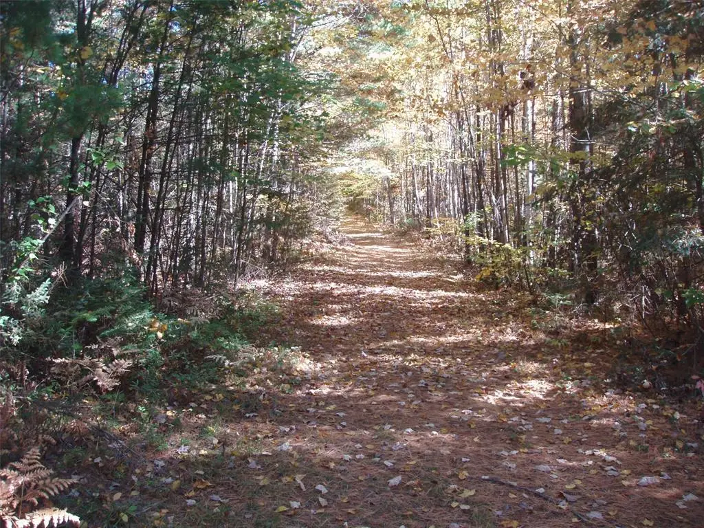 40+/- Acres Off Brimstein Road, Park Falls, WI 54552 - #1