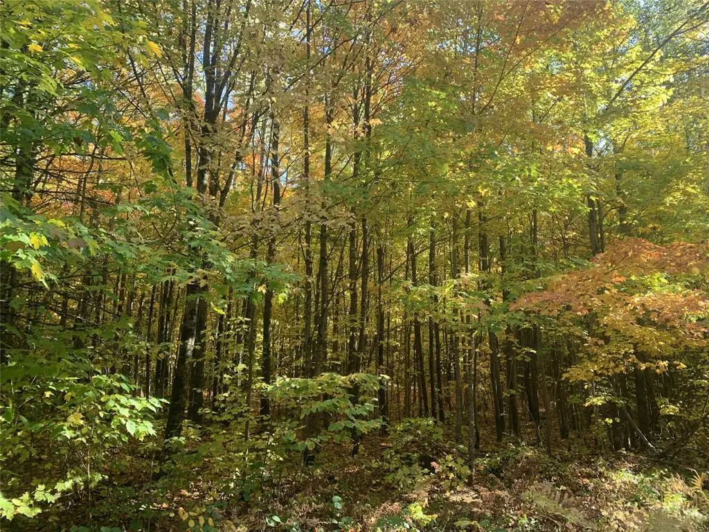 119 +/- A Off Forest Rd 167, Glidden, WI 54527 - #1