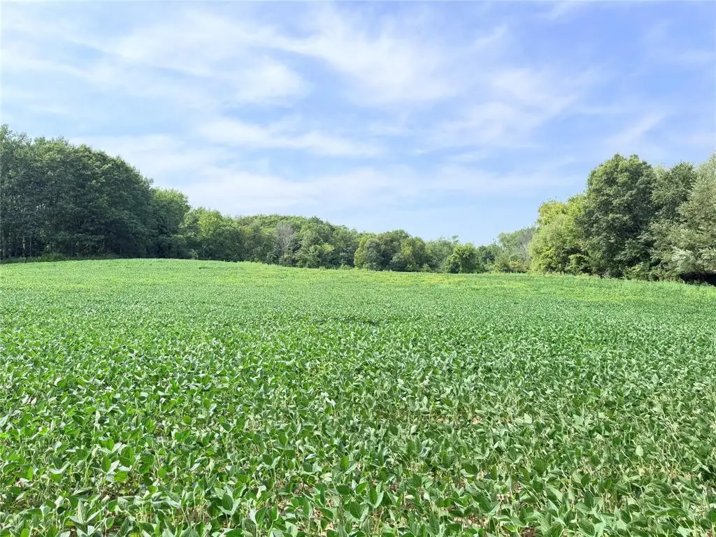 Lot 2 - 10 Acres 230th Street, Saint Croix Falls, WI 54024 - #1