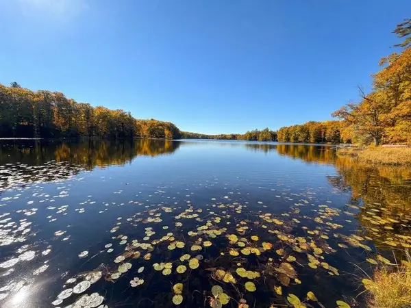 Lot 79 Loons Landing Road, Weyerhaeuser, WI 54895