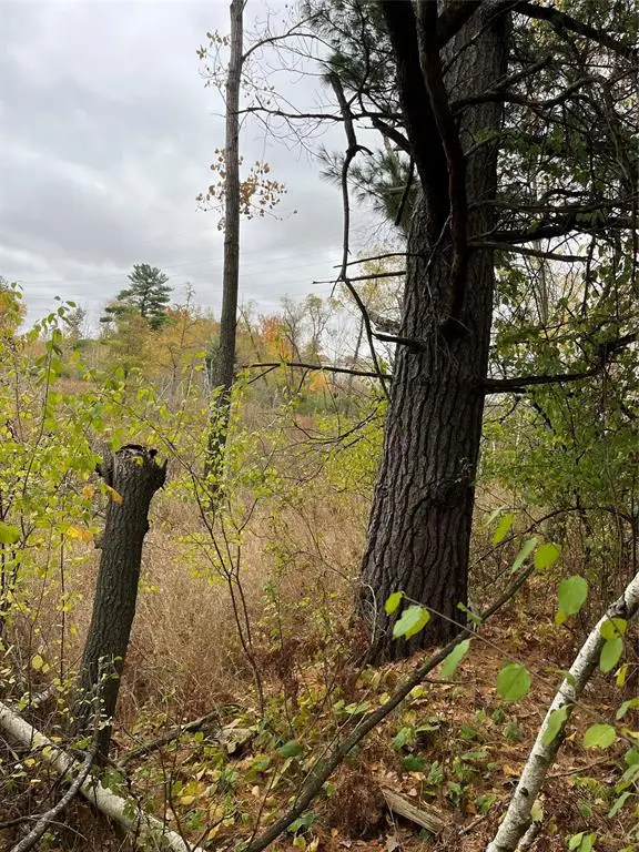XXX Tamarack Street, Turtle Lake, WI 54889 - #2