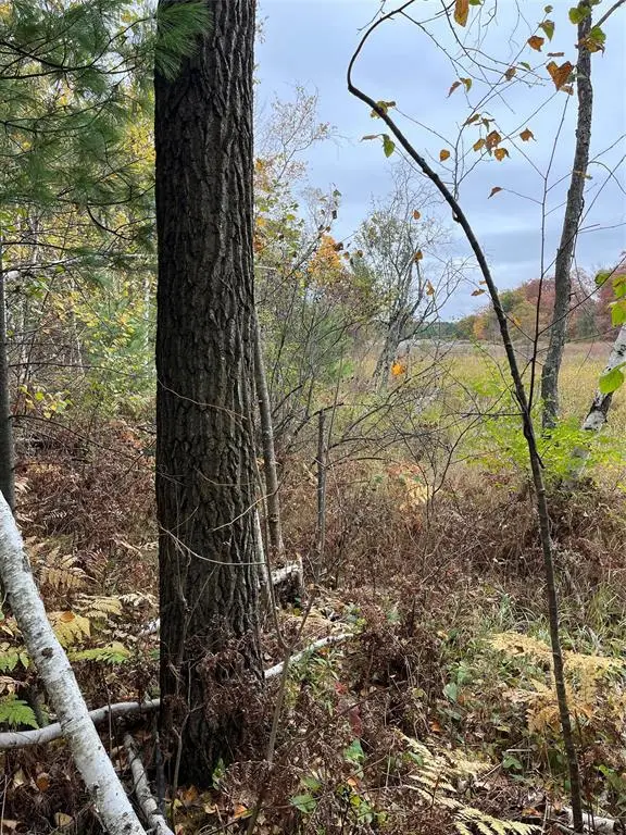 XXX Tamarack Street, Turtle Lake, WI 54889 - #3