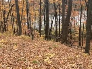 0 County Road D, Birchwood, WI 54817