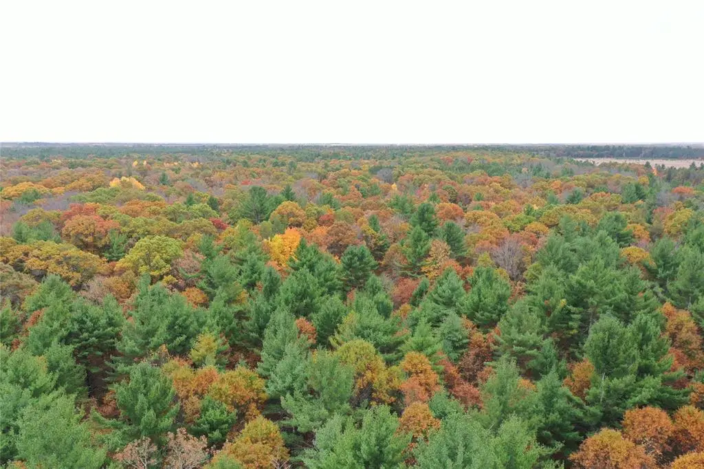XXX Benson Road, Grantsburg, WI 54840 - #1