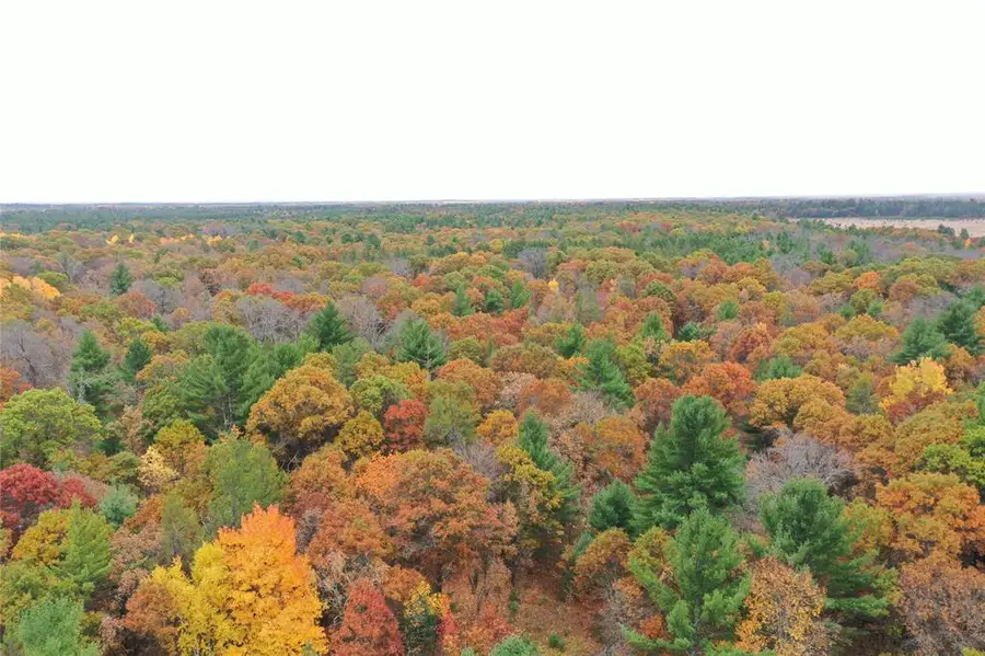 XXX Benson Road, Grantsburg, WI 54840 - #2