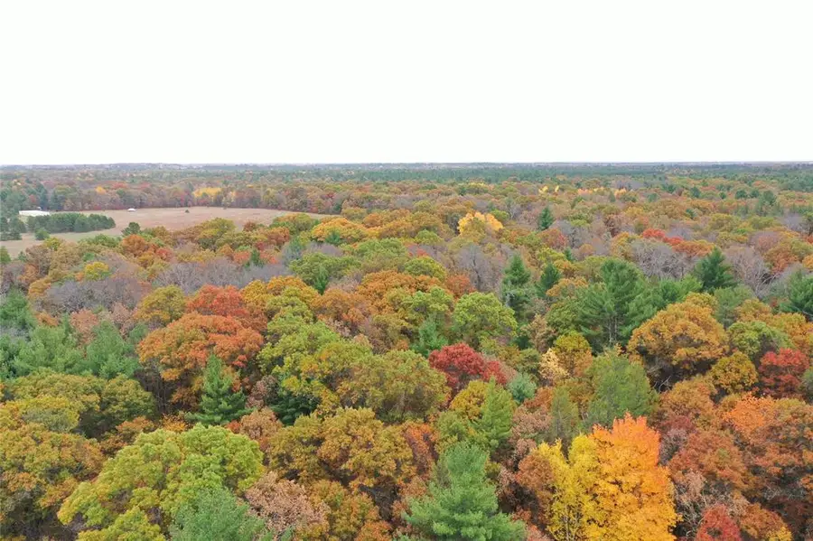 XXX Benson Road, Grantsburg, WI 54840 - #3