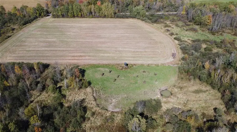 OOO Richfield Wood Road, Arpin, WI 54410 - #3