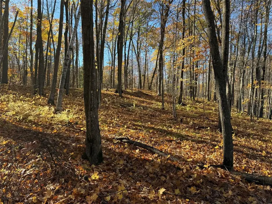 XXX County Highway MD, Sarona, WI 54870 - #2