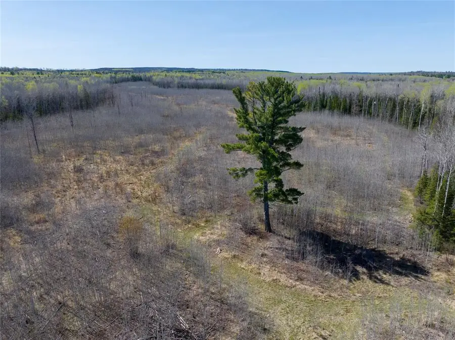 TBD Swedlund Road, Herbster, WI 54844 - #2