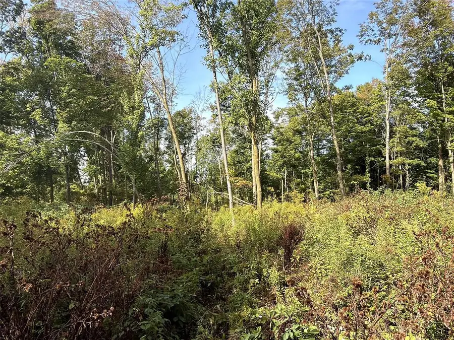 0 3 1/2 Avenue, Chetek, WI 54728 - #2
