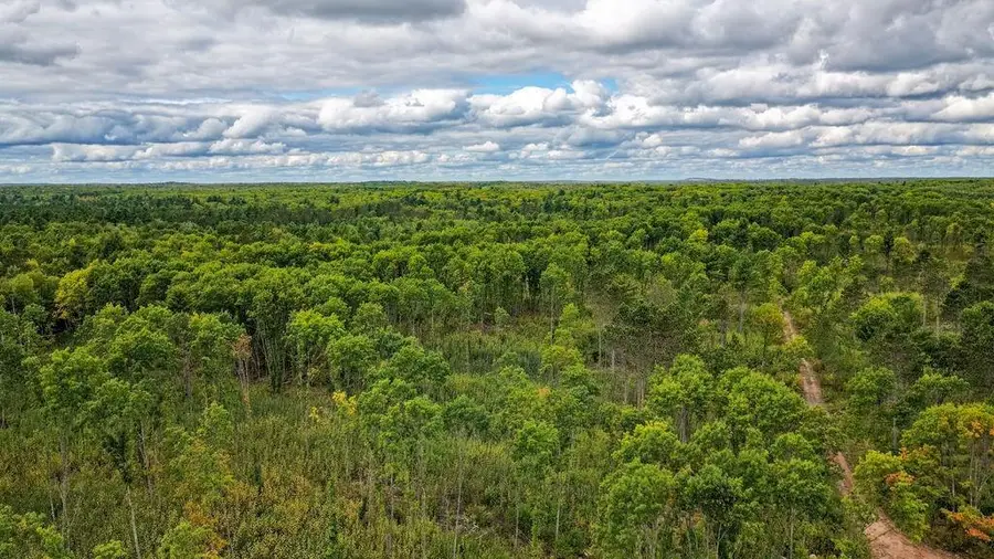 Lot 4 Larson Road, Hayward, WI 54843 - #3