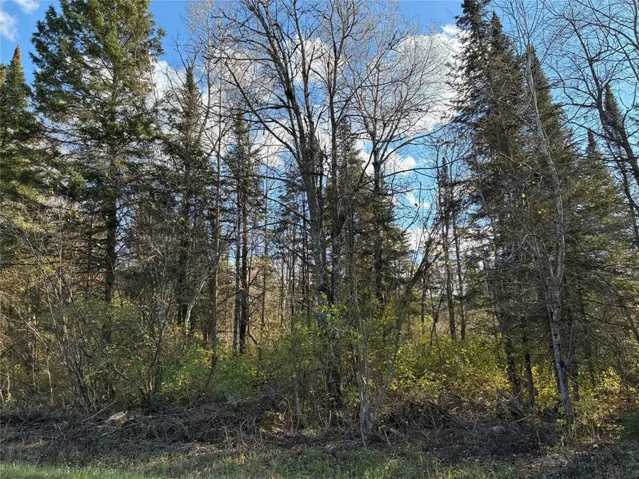 Lot 3 Fadness Road, Winter, WI 54896 - #2