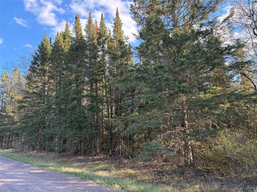 Lot 3 Fadness Road, Winter, WI 54896 - #3