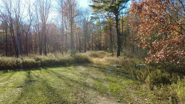 208220 Kane Lane, Mosinee, WI 54455