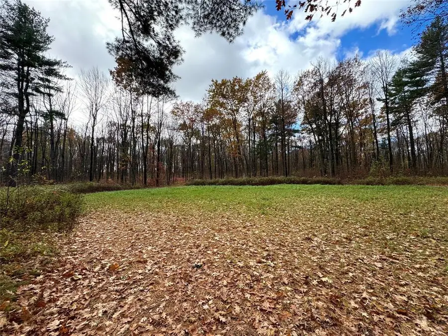 208220 Kane Lane, Mosinee, WI 54455 - #2