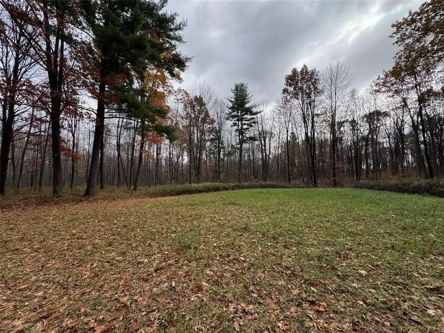 208220 Kane Lane, Mosinee, WI 54455 - #3