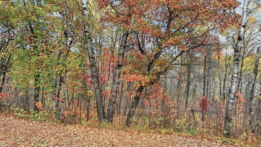 6008 W Shell Creek Road, Minong, WI 54859 - #3