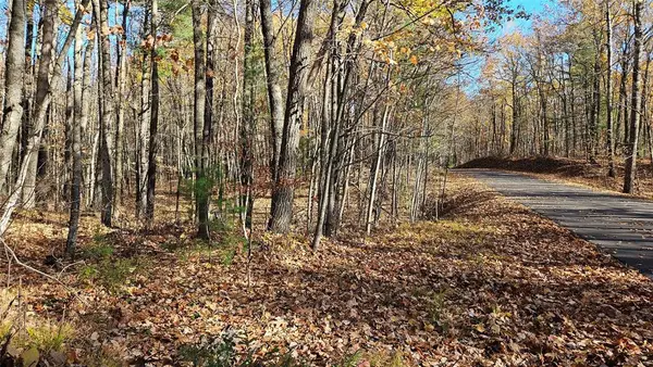 Lot 1 Goss Road, Hayward, WI 54843