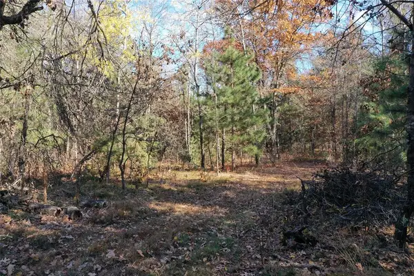Lot 1 Spaulding Road, Grantsburg, WI 54840