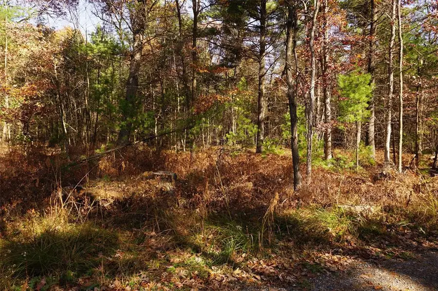 Lot 6 County Rd J, Neillsville, WI 54456 - #2