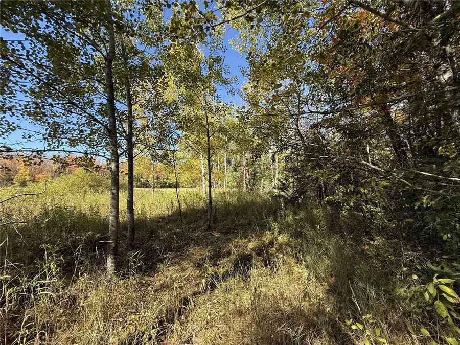 0 Moonshine Alley Lot 2, Catawba, WI 54515 - #3