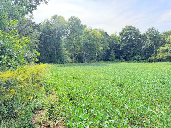 10 Acres Lot 4 230th Street, St Croix Falls, WI 54024