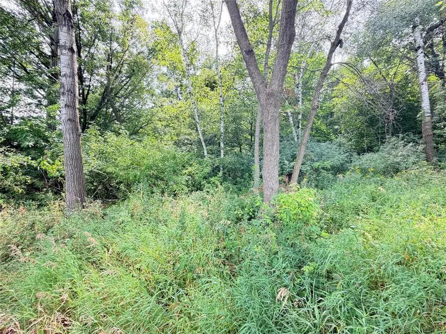 10 Acres Lot 4 230th Street, Saint Croix Falls, WI 54024 - #3