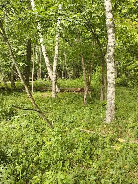 0 1130th Avenue, Colfax, WI 54730 - #3