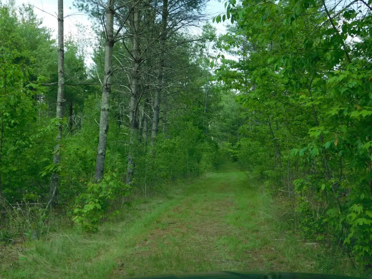 W606 JOE JOHNSON ROAD, Suring, WI 54174 - Image #1