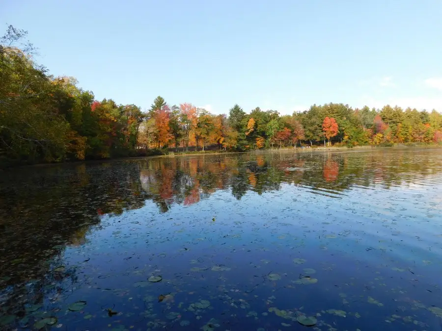 W606 JOE JOHNSON ROAD, Suring, WI 54174 - Image #2