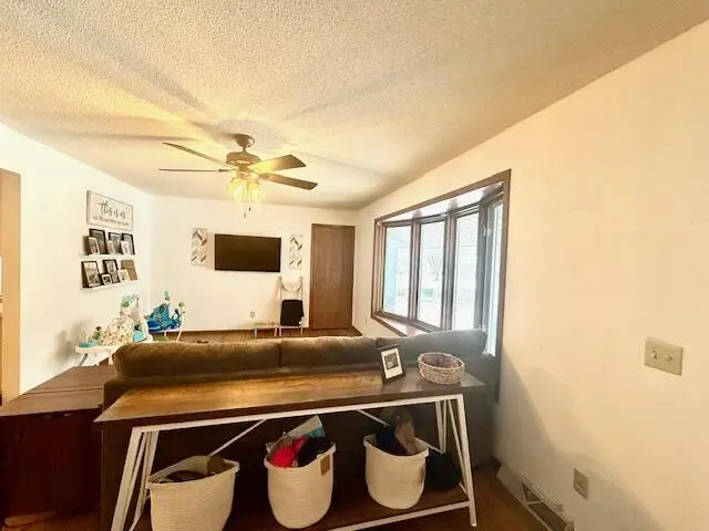 707 Hokah STREET N, Caledonia, MN 55921 - Image #3