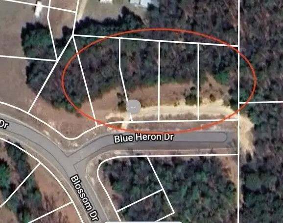 Lt1 BLUE HERON DRIVE, Warrens, WI 54666 - #1