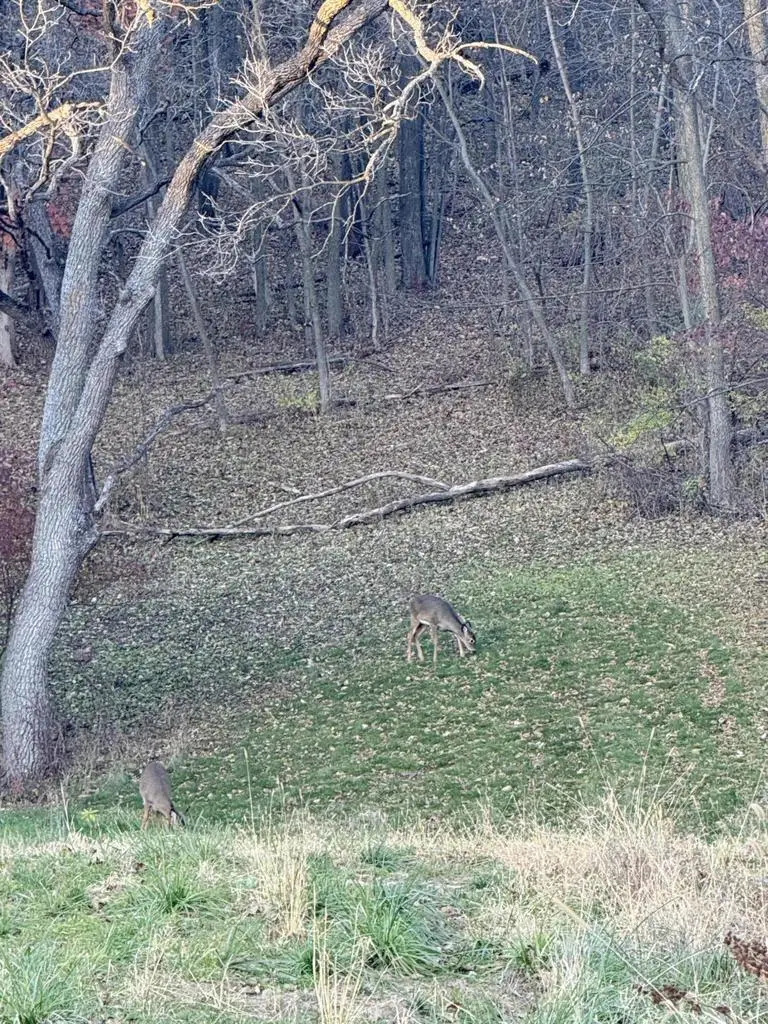 Lt# 56 GRAND GLEN COURT, Onalaska, WI 54650 - #2