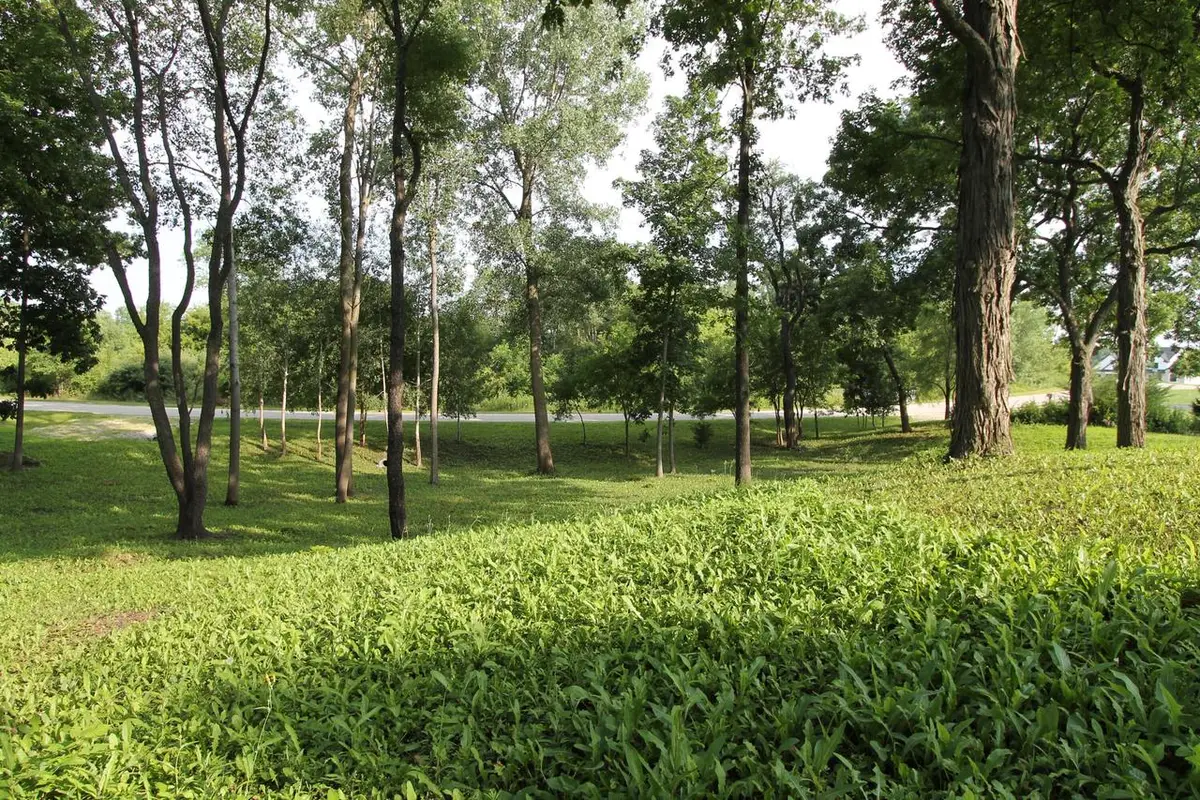 6824 HORSESHOE TRAIL, Burlington, WI 53105 - #1