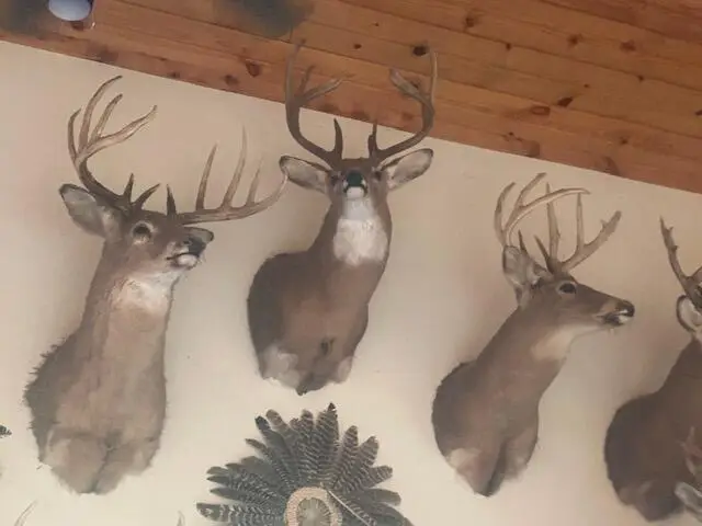 #3
