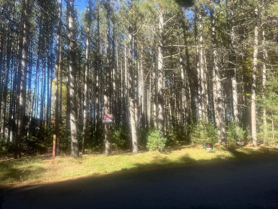 Lot 1 BONKOWSKI ROAD, Three Lakes, WI 54562 - #2