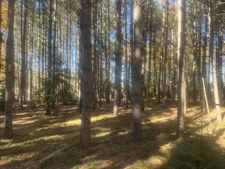 Lot 1 BONKOWSKI ROAD, Three Lakes, WI 54562 - #3
