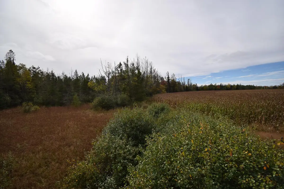 Lt1 OLD HIGHWAY 8, Laona, WI 54541 - Image #1