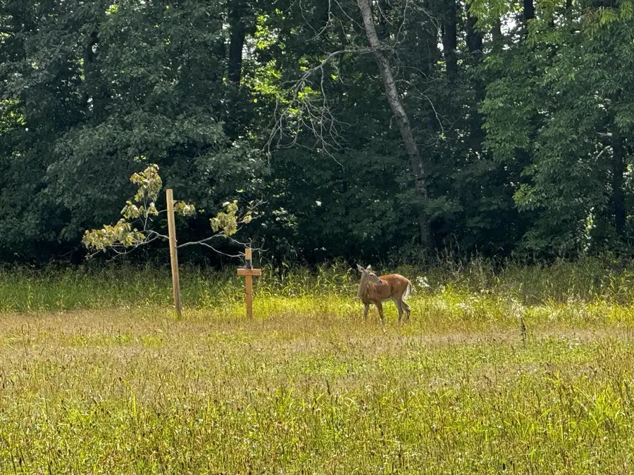 N2179 SCHALK ROAD, Ogema, WI 54459 - #2