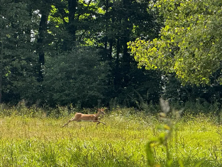 N2179 SCHALK ROAD, Ogema, WI 54459 - #3