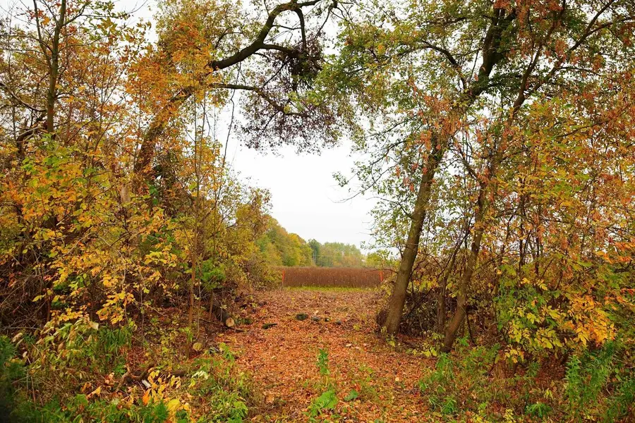 Lt2 COUNTY ROAD AS, Waldo, WI 53093 - #3